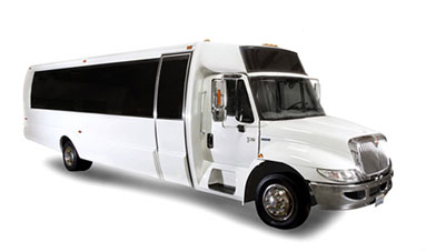 28 Passenger Party Bus featured