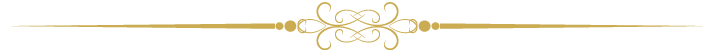 Luxury Limousines Page Divder